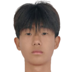 Lin Hanqi