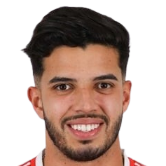 罗查