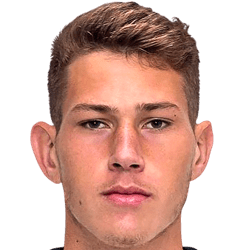 Joao Victor Tornich