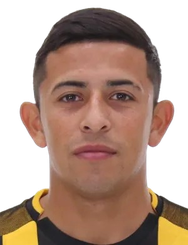 阿尔西德斯 贝尼特斯