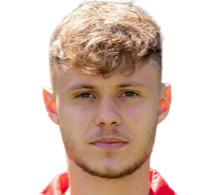 路德林,法比安
