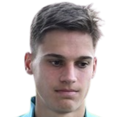 Niko Sepic