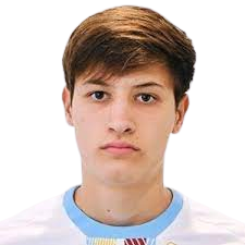 Viktor Vesligaj