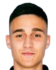 Luka Mikulic