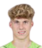 Harald Postl