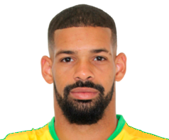 Pedro Henrique Barcelos Silva