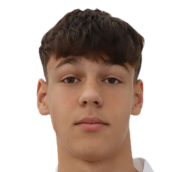 Vladan Carapic
