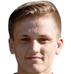 Bram van Driel