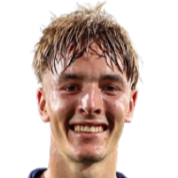 Luka Robert Vicelich