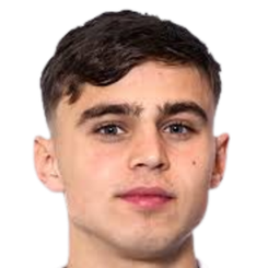 Emir Dervisjradic