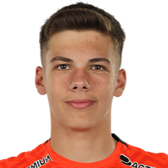 Stefan Radulescu